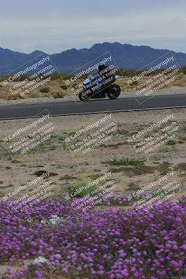 media/Jan-14-2023-SoCal Trackdays (Sat) [[497694156f]]/Turn 14 Exit Bloomig (145pm)/